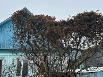 Отдельный дом · 4 комнаты · 60 м² · 8 сот., 91 А квартал 12 за 9.5 млн 〒 в Темиртау