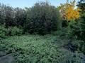 Дача · 2 комнаты · 40 м² · 10.2 сот., Виноградная 22 — В сторону ЖД Поселка Садоводство Березка за 1.6 млн ₸ в Павлодаре — фото 11