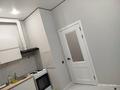 2-комнатная квартира · 45 м² · 10 этаж, Чингиза Айтматова 77 за 260 000 ₸ в Астане, Алматы р-н — фото 8