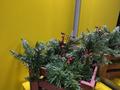 2-бөлмелі пәтер · 73 м² · 8/10 қабат, Пр.Сатпаева 36/1, бағасы: 18 000 ₸ в Усть-Каменогорске — фото 15