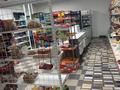 Магазины и бутики · 100 м² за 250 000 ₸ в Шымкенте, Каратауский р-н — фото 3