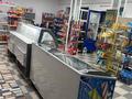Магазины и бутики · 100 м² за 250 000 ₸ в Шымкенте, Каратауский р-н — фото 5