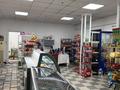 Магазины и бутики · 100 м² за 250 000 ₸ в Шымкенте, Каратауский р-н — фото 6