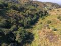 Участок · 2.6 га, Талгар за 24.9 млн ₸