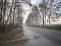 Жер телімі · 5 сотық, Корабаева — О. Шегебаева, бағасы: 12 млн ₸ в  — фото 2