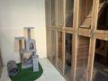 VIP отель для животных · 90 м² за 13 млн ₸ в Астане, Есильский р-н — фото 3