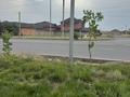 Участок · 25 соток, мкр Туран , Алатау батыр 2060 за 200 млн ₸ в Шымкенте, Каратауский р-н — фото 4