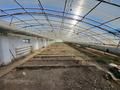 Хозяйство Рамазан · 100000 м², бағасы: 700 млн ₸ в  — фото 52