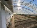 Хозяйство Рамазан · 100000 м², бағасы: 700 млн ₸ в  — фото 55