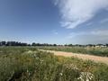 Участок · 6 соток, Микрорайон карлыгаш за 6.5 млн ₸ в Каскелене — фото 5