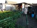 Отдельный дом · 4 комнаты · 120 м² · 10 сот., Братьев Родионовых 3 — Дукен Аленка за 35 млн ₸ в  — фото 25