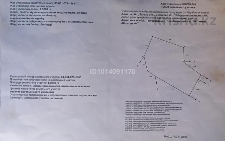Жер телімі · 130 сотық, Белбұлақ (Мичурино), бағасы: 185 млн ₸ в Бельбулаке (Мичурино) — фото 2