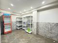 6-комнатная квартира · 450 м², мкр Ерменсай, Жаксылык Ушкемпиров 34 за 2 млн ₸ в Алматы, Бостандыкский р-н — фото 18