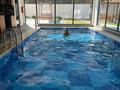 2-бөлмелі пәтер · 50 м² · 4/7 қабат, Geriz sokak — Пляж Инжекум, бағасы: 370 000 ₸ в Аланье — фото 13