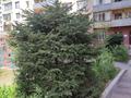 2-комнатная квартира · 74 м² · 12/13 этаж, мкр Жетысу-3 50 — Абая- Момышулы за 20 000 ₸ в Алматы, Ауэзовский р-н — фото 14