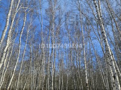 Участок · 10 соток, 42А за 25.5 млн ₸ в Петропавловске