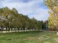 Общепит · 463 м² за 490 млн ₸ в Астане, Есильский р-н — фото 19