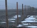 Жер телімі · 5 га, 75/1 1 — Алмалы, бағасы: 40 млн ₸ в  — фото 11