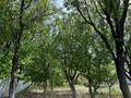 Дача · 1 комната · 12 м² · 13.5 сот., Береке (Память Ильича), АНУ-1 153 за 16 млн ₸ в Атырау — фото 14