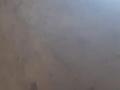 Жеке үй • 2 бөлмелер • 100 м² • 10 сот., Азат, бағасы: 10 млн 〒 в Шымкенте, Каратауский р-н — фото 74
