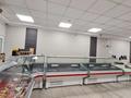 Еркін, дүкендер мен бутиктер · 298.5 м², бағасы: 250 млн ₸ в Костанае — фото 6