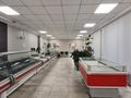 Еркін, дүкендер мен бутиктер · 298.5 м², бағасы: 250 млн ₸ в Костанае — фото 9