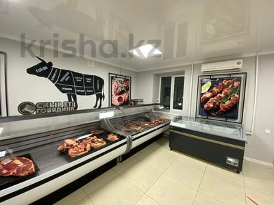 Магазины и бутики, общепит, салоны красоты · 69.9 м² за 60 млн 〒 в Актобе, мкр 11