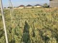 Участок · 30 соток, 1 5 — Тлендиева за 50 млн ₸ в М. Туймебаеве — фото 4