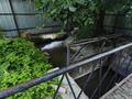 Отдельный дом · 8 комнат · 400 м² · 500 сот., Байконыр 1а за 800 млн ₸ в  — фото 16