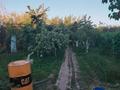Саяжай · 3 бөлме · 50 м² · 8 сот., Жанаталап 133, бағасы: 11.9 млн ₸