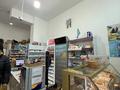 Дүкендер мен бутиктер · 83.6 м², бағасы: 110 млн ₸ в Астане, Сарайшык р-н — фото 6
