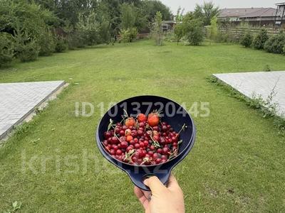 Отдельный дом · 5 комнат · 220 м² · 12 сот., Коксай 23 А за 155 млн ₸ в Бельбулаке (Мичурино)