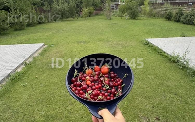 Жеке үй · 5 бөлме · 220 м² · 12 жүзд., Коксай 23 А, бағасы: 155 млн ₸ в Бельбулаке (Мичурино) — фото 2