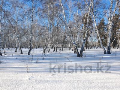 Саяжай · 1 бөлме · 10 м² · 6 сот., Березова — Дача, бағасы: 2 млн 〒 в Щучинске