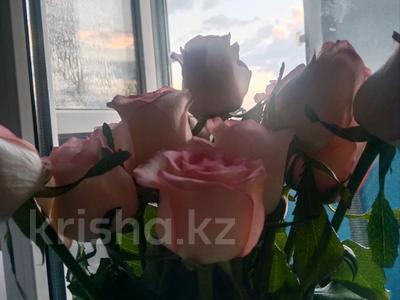 3-комнатная квартира · 58 м² · 4/5 этаж, 2 мкр за 19 млн ₸ в Талдыкоргане, мкр Жетысу