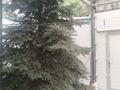 Часть дома · 3 комнаты · 76 м² · 2.5 сот., Тажибаева Пшатайам 190 за 600 000 ₸ в Алматы, Бостандыкский р-н — фото 6