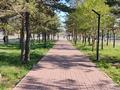 3-бөлмелі пәтер · 62.7 м² · 5/5 қабат, 7 мкр 20, бағасы: 15.3 млн ₸ в Темиртау — фото 14