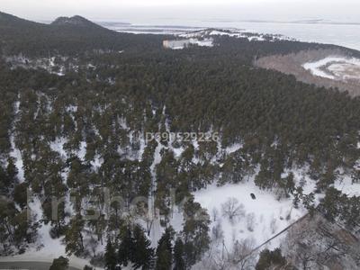 Жер телімі 40 сотық, Бурабай (Боровое), бағасы: 140 млн 〒