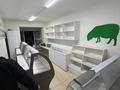 Магазины и бутики · 30 м² за 25 млн ₸ в Актобе, мкр Болашак — фото 19