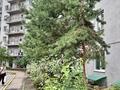 1-комнатная квартира · 46 м² · 12/12 этаж, Рыскулбекова 28/1 — Рыскулбекова Мустафина Торайгырова Саина Альфараби за 40.5 млн ₸ в Алматы, Бостандыкский р-н — фото 4