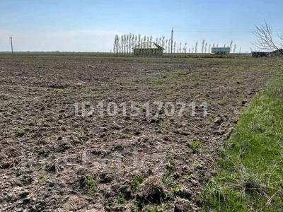 Участок · 11.5 га, Кырбалтабай за 20 млн ₸