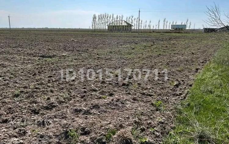 Участок · 11.5 га, Кырбалтабай за 20 млн ₸ — фото 8