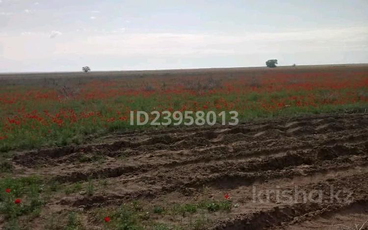 Жер телімі · 800 га, Акши, бағасы: 250 млн ₸ — фото 7