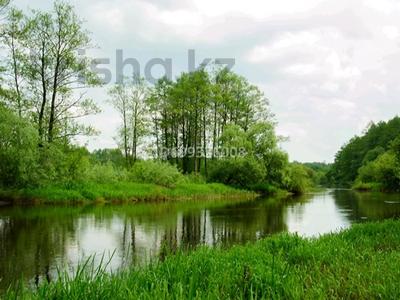 Участок · 105 га, Центральная 49 за 350 млн 〒 в Семее, Красный Кордон