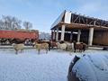 Промбаза · 40 соток, Береке бн за 8 млн 〒 в Унгуртасе — фото 9