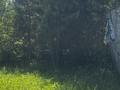 Саяжай · 2 бөлме · 18 м² · 7.2 сот., Лесная, бағасы: 2 млн ₸ в Петропавловске — фото 15