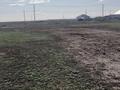 Жер телімі · 10 сотық, Жалтыркол, бағасы: 3.2 млн ₸ в Жалтырколе — фото 3