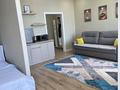 1-бөлмелі пәтер · 39 м² · 12/12 қабат, Туран 46/6, бағасы: 14 000 ₸ в Астане, Есильский р-н — фото 25