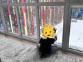 2-бөлмелі пәтер · 85 м² · 9/10 қабат, ул. Самал 82/6, бағасы: 38 млн ₸ в Уральске, мкр Школьник — фото 9