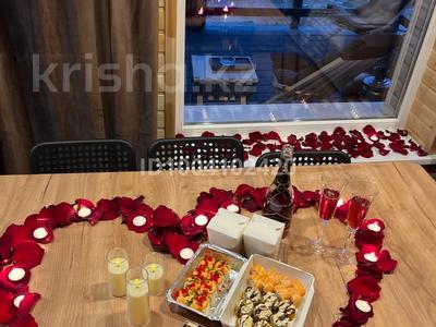 Дом · 3 комнаты · 50 м², LOFT-дом (зимний) — Бухтарма, район горы Мохнатка за 35 000 〒 в Новой бухтарме